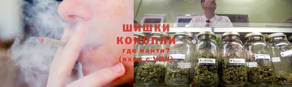 apvp Инсар