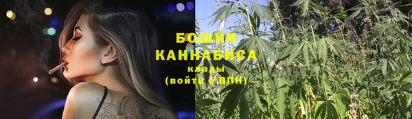apvp Инсар
