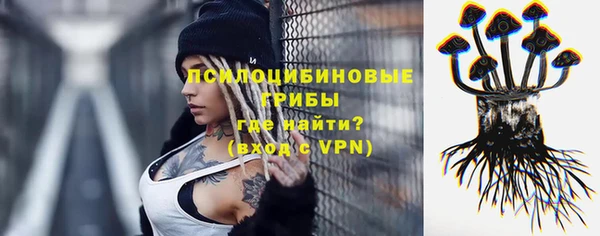 apvp Инсар